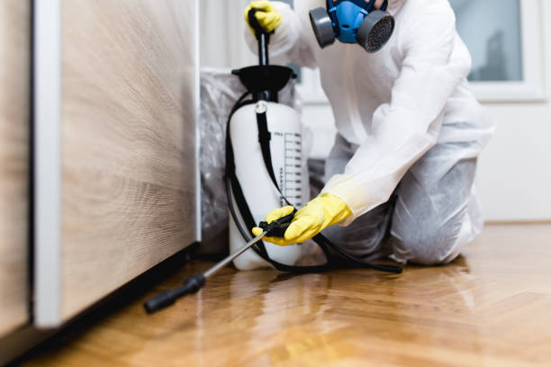 Wildlife Control Services in Snowflake, AZ