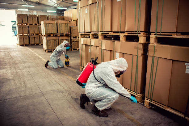 Best Cockroach Control Services  in Snowflake, AZ