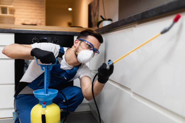 Reliable Snowflake, AZ Pest Control Solutions