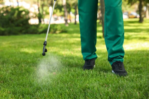 Best Commercial Pest Control Services  in Snowflake, AZ
