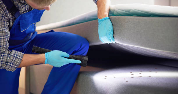 Best Cockroach Control Services  in Snowflake, AZ